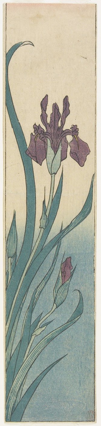 Iris, principios del siglo XIX de Utagawa Hiroshige