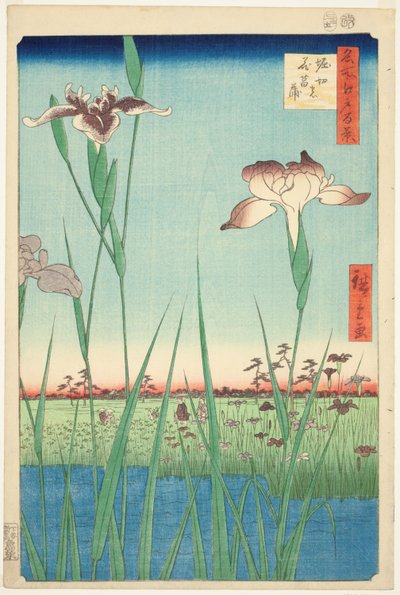 Lirios en Horikiri, de la serie "Cien Vistas Famosas de Edo" de Utagawa Hiroshige