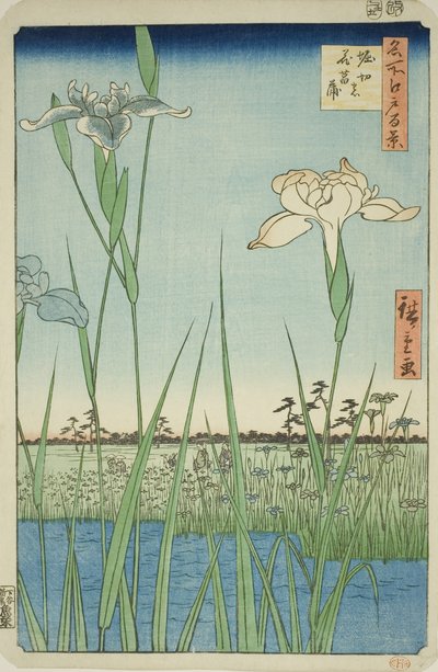 Iris en Horikiri (Horikiri no hanashobu), de la serie "Cien Vistas Famosas de Edo (Meisho Edo hyakkei)" de Utagawa Hiroshige