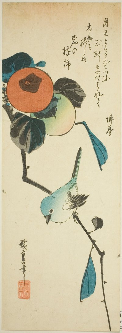 Ojo blanco japonés y caquis de Utagawa Hiroshige