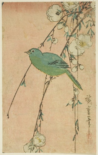Ojo blanco japonés y cerezo llorón de Utagawa Hiroshige