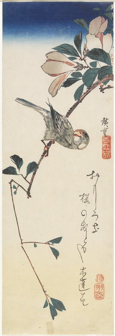 Gorrión de Java y Magnolia, 1834-1839 de Utagawa Hiroshige