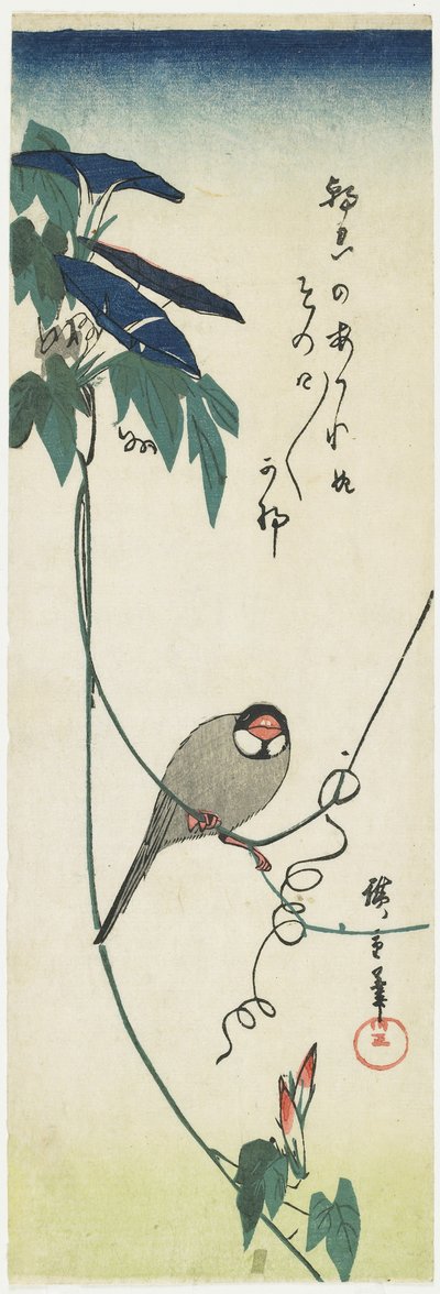Gorrión de Java y glorias de la mañana, 1834-1839 de Utagawa Hiroshige