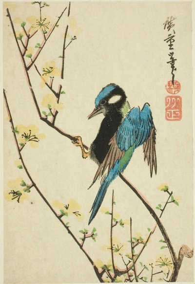 Gorrión de Java en rama de cerezo de Utagawa Hiroshige