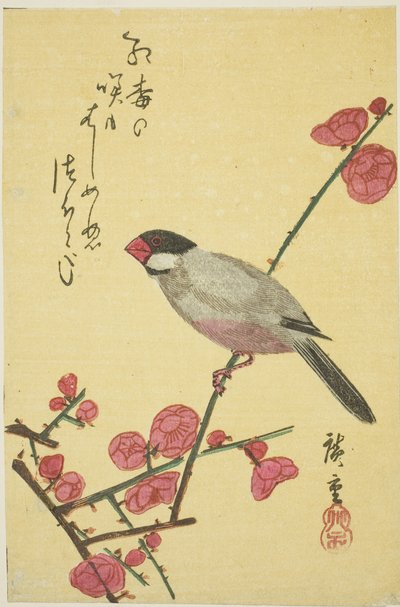 Gorrión de Java en rama de ciruelo de Utagawa Hiroshige