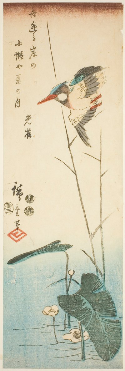 Martín pescador sobre una planta acuática de flores amarillas de Utagawa Hiroshige
