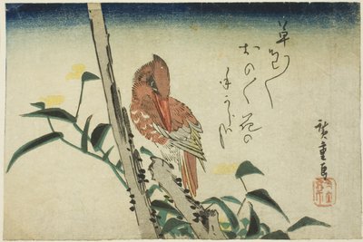 Martín pescador y flor de día de Utagawa Hiroshige