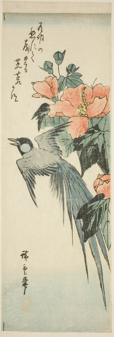 Pájaro de cola larga y hibisco de Utagawa Hiroshige