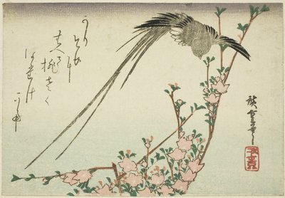Pájaro de cola larga y flores de durazno de Utagawa Hiroshige