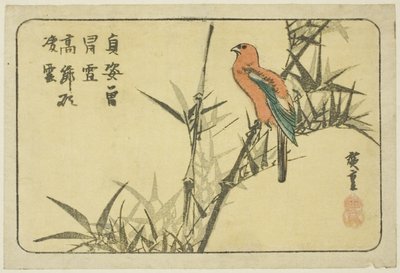 Guacamayo y bambú de Utagawa Hiroshige
