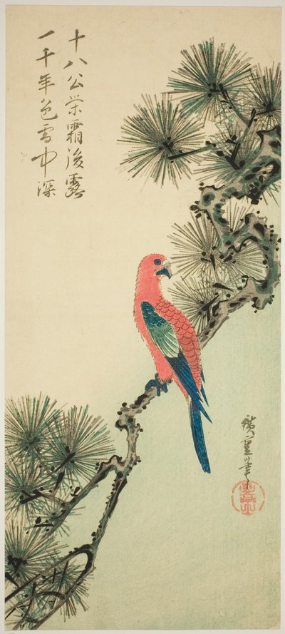 Guacamayo en una rama de pino de Utagawa Hiroshige
