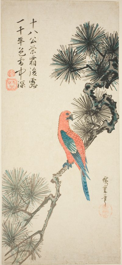 Guacamayo en una rama de pino de Utagawa Hiroshige