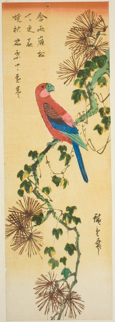 Guacamayo sobre rama de pino cubierta de hiedra de Utagawa Hiroshige