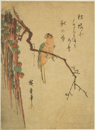 Guacamayo en un árbol cubierto de hiedra de Utagawa Hiroshige