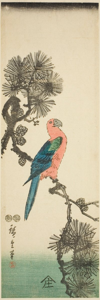 Guacamayo en rama de pino de Utagawa Hiroshige