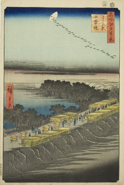 Terraplén de Nihon, Yoshiwara (Yoshiwara Nihonzutsumi), de la serie "Cien vistas famosas de Edo (Meisho Edo hyakkei)" de Utagawa Hiroshige