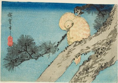 Búho en rama de pino de Utagawa Hiroshige