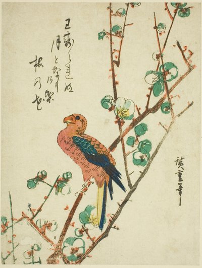 Loro en árbol de ciruela de Utagawa Hiroshige