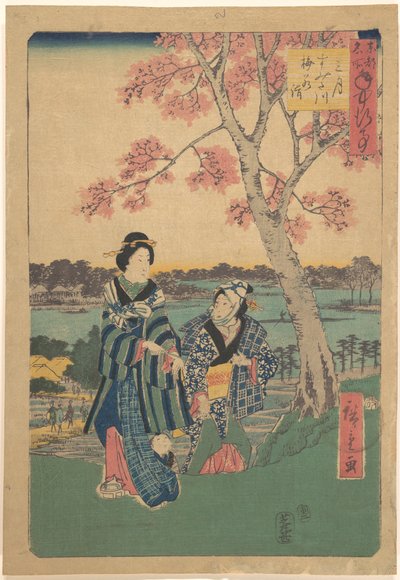 Contemplación de los ciruelos en flor en el tercer mes junto al río Sumida, de la serie Acontecimientos anuales en lugares célebres de la capital oriental (Tōto meisho nenjū gyōji sangatsu sumitagawa waka mōde) de Utagawa Hiroshige