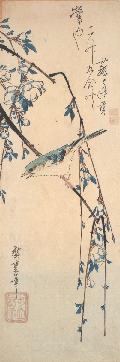 Bluetail Red-Flanked en una rama de cerezo de Utagawa Hiroshige