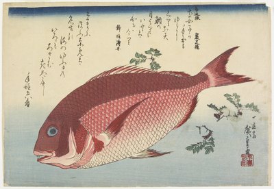 Besugo y ramitas de sansho, c. 1832 de Utagawa Hiroshige