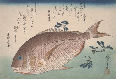 Besugo y pimienta de sansho, c.1830 de Utagawa Hiroshige