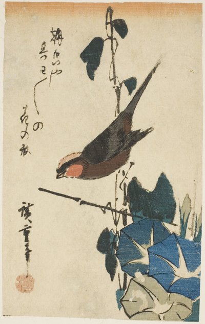 Gorrión y glorias de la mañana de Utagawa Hiroshige