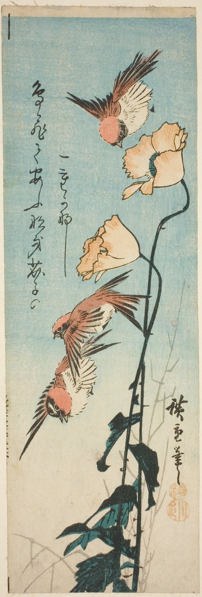 Gorriones y amapolas de Utagawa Hiroshige