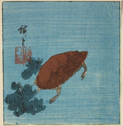 Tortuga de Utagawa Hiroshige