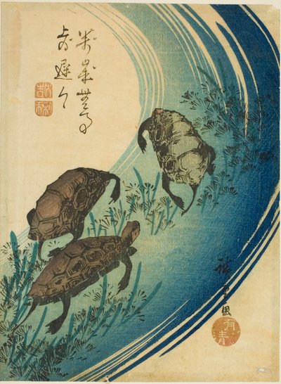 Tortugas nadando en un arroyo de Utagawa Hiroshige