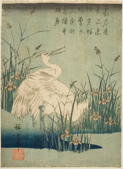 Garzas blancas e iris de Utagawa Hiroshige