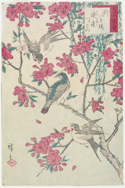 Sauce, flores de cerezo, gorriones y golondrina, principios del siglo XIX de Utagawa Hiroshige