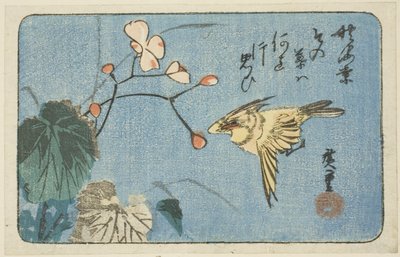 Pájaro amarillo y begonia de Utagawa Hiroshige