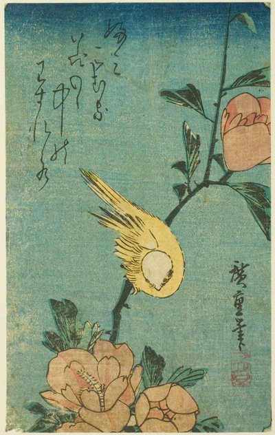 Pájaro amarillo y hibisco de Utagawa Hiroshige