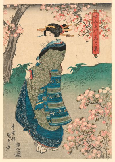 Mujer viendo flores de cerezo en la orilla del río Sumida (Sumidagawa hana no kei) de Utagawa Kunisada