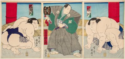 Combate de los luchadores de sumo Shakaigawa y Ayasemawa de Utagawa Kuniteru