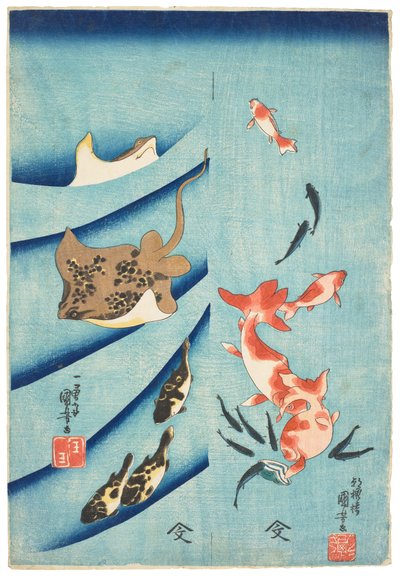 Goldfish, Killifish, Stingray and Puffer Fish, c.1837 (xilografía) de Utagawa Kuniyoshi