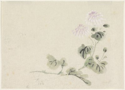 Crisantemos morados y blancos de Utagawa Kuniyoshi