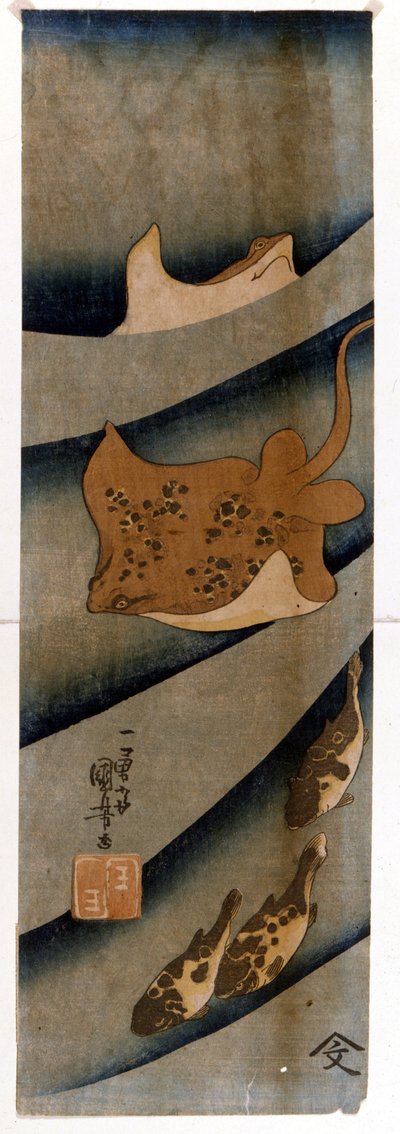Grabados de Utagawa KUNIYOSHI (1797-1861) que representan el pez. de Utagawa Kuniyoshi