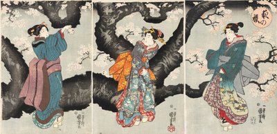 Yoru no sakura [Cerezos en flor por la noche], c.1846 de Utagawa Kuniyoshi