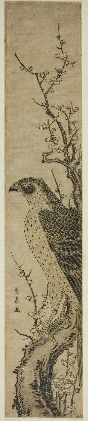 Halcón sobre un cerezo de Utagawa Toyohiro