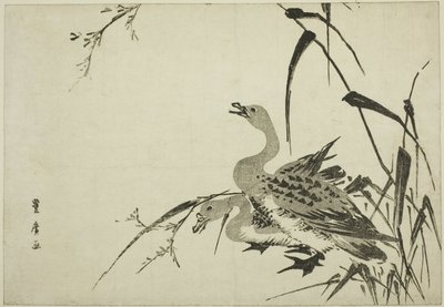 Gansos salvajes y juncos de Utagawa Toyohiro