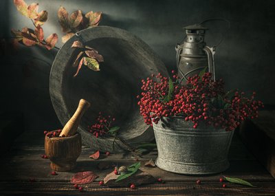 Naturaleza muerta de la cosecha de otoño de Vadim Kulinsky