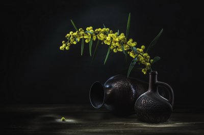 Naturaleza muerta con mimosa amarilla de Vadim Kulinsky