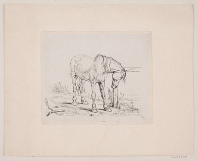 Un caballo viejo de Valdemar Irminger