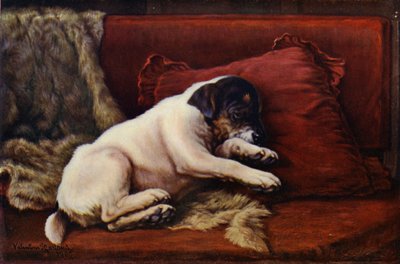 An Afternoon Snooze (litografia en color) de Valentine Thomas Garland