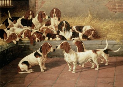 Basset Hounds en un kennel, 1894 de Valentine Thomas Garland