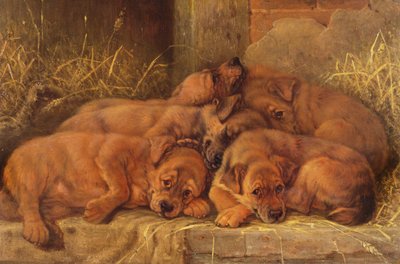 Amor de cachorro de Valentine Thomas Garland