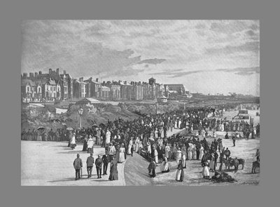 Parque Marino, Southport, c1900 de Valentine and Sons Ltd