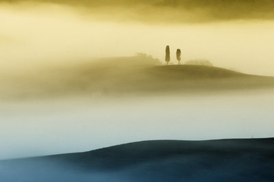 Las colinas doradas en la bruma de Vanja Tajnsek
